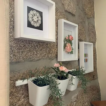Casa Castenda Alojamento de Turismo Rural Viseu